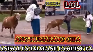 ANUNG TRIP MO KAMBING KA