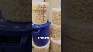 Popcorn Start to Finish!