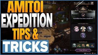 Two Amitoi Expedition Tips I Completely Missed In Throne & Liberty