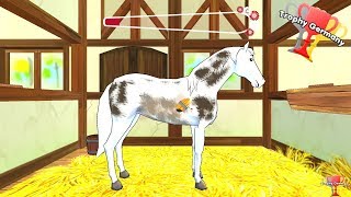 Bibi & Tina: Adventures with Horses - Tender loving care Trophy / Achievement Guide