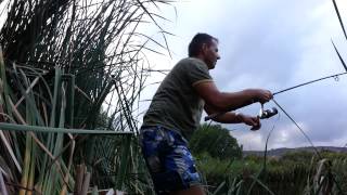 Double bass fishing