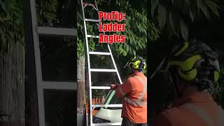 Pro Tip -Determining the correct angle to setup a ladder #short #power #treecare #chainsaw #seattle