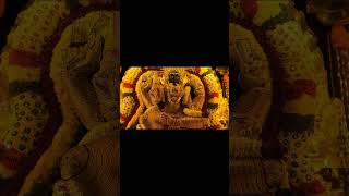 Jai kali… #like #subscribe #youtubeshorts