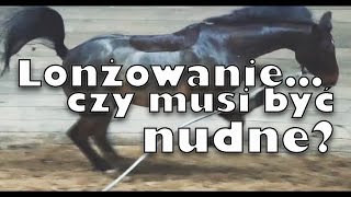 Lonżowanie nie musi być nudne! Czyli wesoły koń złapany w kadrze