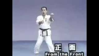 Sanchin Kyokushinkai kata KYOKUSHIN KATA @karatezine