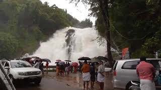 charpa water falls near athirapalli