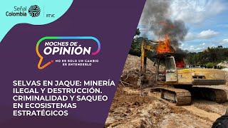 Noches de Opinión | Selvas en jaque: minería y destrucción. Criminalidad en ecosistemas estratégicos