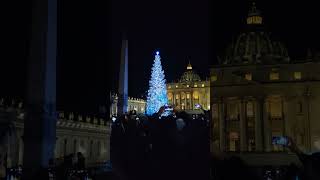 Albero di Natale nella Piazza di San Pietro 2023