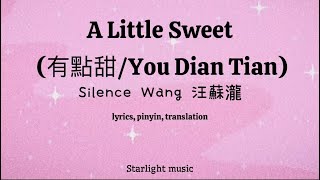 A Little Sweet (有點甜/You Dian Tian) by Silence Wang (汪蘇瀧) lyrics, pinyin, english translation