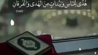 قرآن كريم (حالات وتس )16(3)