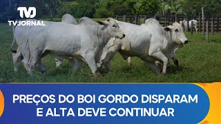 Preços do boi gordo disparam e tendência de alta deve continuar