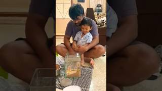 Enjoying his first Aquarium 😍 - my nephew❤️ #nephew #kids #aquarium #fish #children #family #shorts