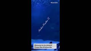 Big Jellyfish Swimming//Underwater Creatures//Water Sound