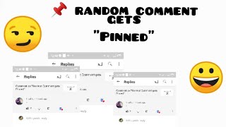 " random comment gets PINNED " ( 100% )