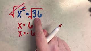 Square Root and Cube Root Equations