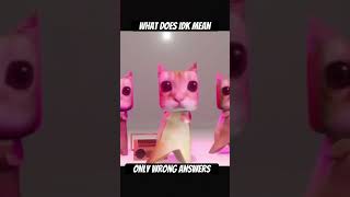 What does IDK mean #cat #shortvideos #meme #shortsvideo #funny #shorts