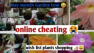 Wish list plants shopping/online cheating/ Garden update