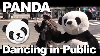 Panda Dancing in Public