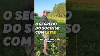 O segredo do sucesso com LEITE