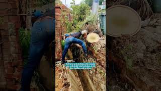 Jangan biarkan apa yang berlaku semalam menghantui hidup anda hari ini #plant #construction #diy