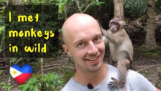 Have you seen monkeys in a wild? I was shocked how friendly they are. Vlog in the Philippines