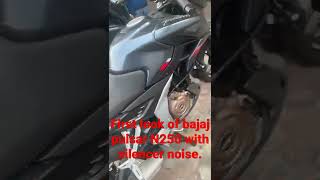 First look of Bajaj Pulsar N250 with silencer noise