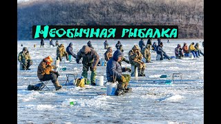 Необычная рыбалка !!!