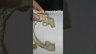 Spurs mentality