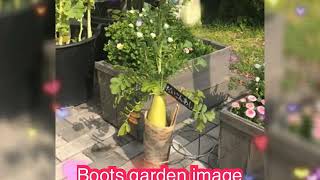 Boot garden