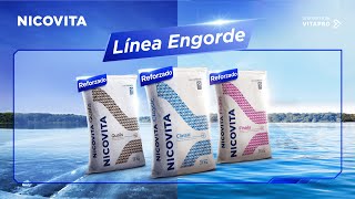 ¡Máximo crecimiento con nuestra línea reforzada de productos para el engorde!