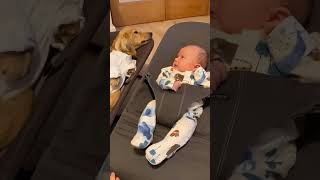 relax like a baby #shorts #shortvideo #puppy #babies #cute #relaxing #love