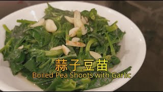 香香的蒜味 蒜子豆苗  Garlic Bean Spoots