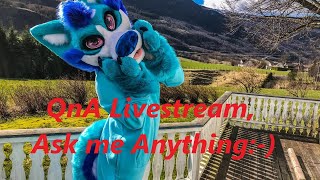 QnA Livestream in fursuit:-)