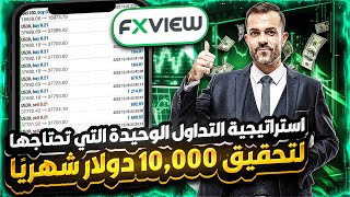 استراتيجية تداول فوركس بيع وشراء دقيقة بنسبة 97.94% | استراتيجية فوركس لا تخسر 2024