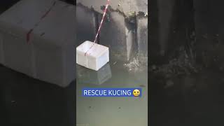 RESCUE KUCING TERJEBAK DI BAWAH JEMBATAN #shorts