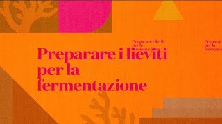 Preparare i LIEVITI per la FERMENTAZIONE in 3 passaggi