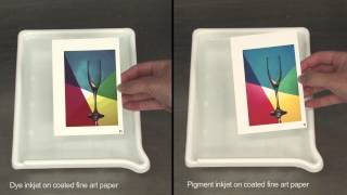 DP3 Video: The Instantaneous Effects of Water on Inkjet Prints