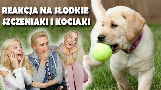 OGLĄDAMY SŁODKIE SZCZENIAKI I KOTKI 😍💖 *nasza reakcja i płacz Ady*