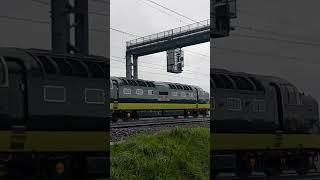 DELTIC 55022 Royal Scots Grey D9000