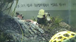 [1029참사 추모 어항방송] Aquarium Live - 2022.12.20 Tue KST