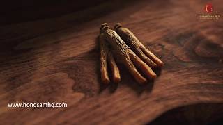 Hồng Sâm Hàn Quốc Cheong Kwan Jang Sâm Chính Phủ Korean Ginseng Corp