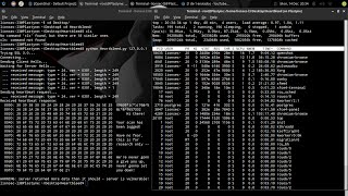 🔴 Heartbleed SSL bug + Honeypot - Plastyne