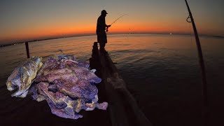 pescando y disfrutando de una carne asada y pescado frito