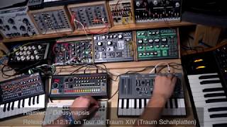 Riamiwo - Diffusynapsis  (Livesession) Tour de Traum / TraumSchallplatten (Riamiwo StudioVlog 70)