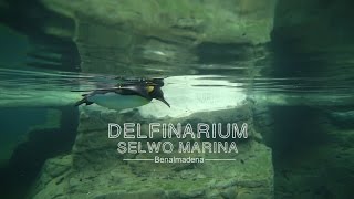 Delfinarium Selwo Marina - Benalmadena