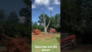 Pushing tree down