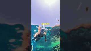 We Went Underwater with the Insta360 X4! REEF OASIS SNORKELLING