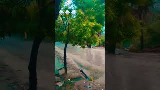 Bin Mausam ke Badra#song#short video #like #share 👍⛈️🌩️🌧️