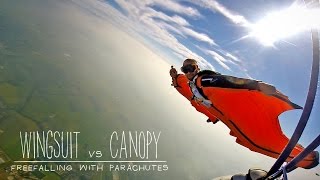 Wingsuit vs Canopy - Freefalling with Parachutes (Clean Version)