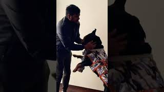 Stubborn Rottweiler #shorts # #short #rottweiler #dog #traineddog #guarddog #aggressivedog #yt